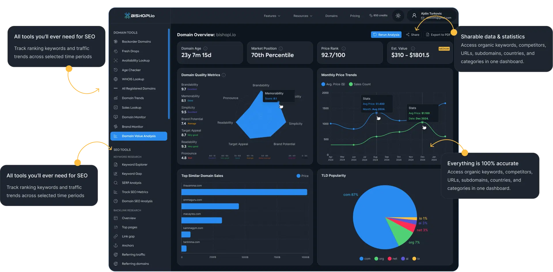 Bishopi Dashboard - Domain Value Analysis showing analytics, charts, and domain metrics