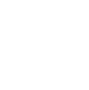 Icon Tick
