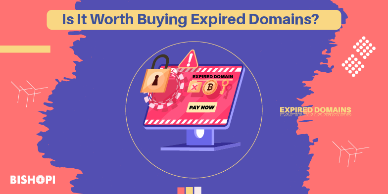 Is It Worth Buying Expired Domains?