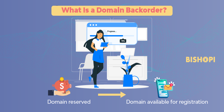What Is a Domain Backorder? | Domain Backordering